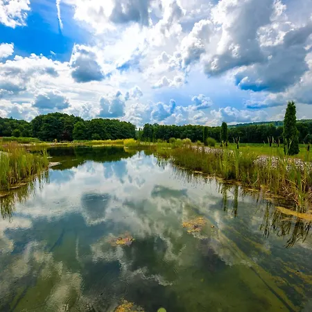 Resort Bakony - A Felnottbarat - Szarvaskut Vendegpark