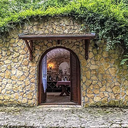 Bakony - A Felnottbarat - Szarvaskut Vendegpark Resort Zirc