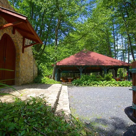 Bakony - A Felnottbarat - Szarvaskut Vendegpark 4* Zirc