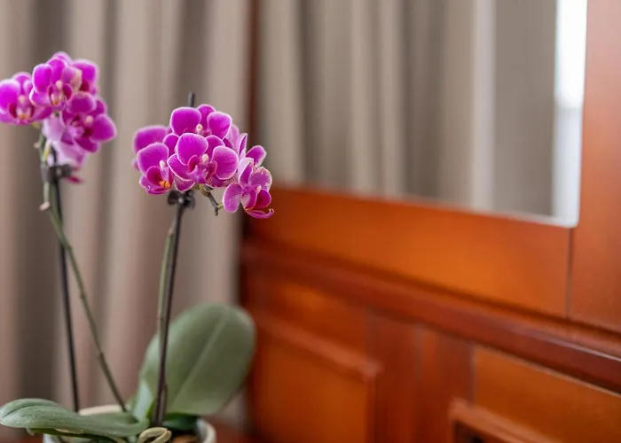 Resort Bakony - A Felnottbarat - Szarvaskut Vendegpark 4*