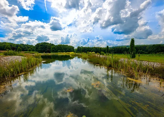 Üdülőközpont Bakony - A Felnőttbarát - Szarvaskút Vendégpark